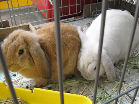 ʐ^ '09/06