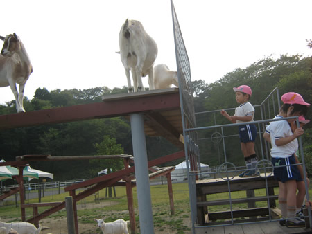 ʐ^ '09/10