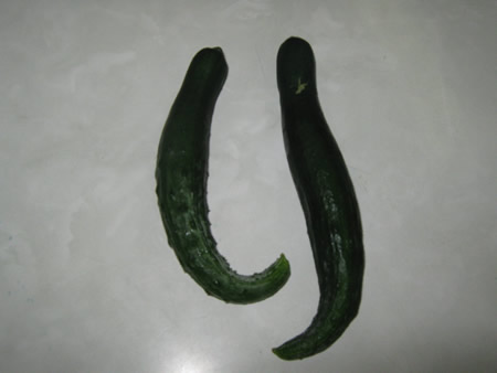 ʐ^ '11/06