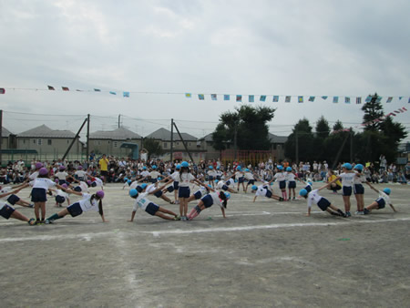 ʐ^ '14/11