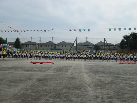 ʐ^ '14/11