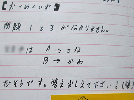 ʐ^ '14/11