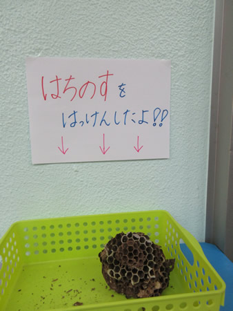 ʐ^ '21/6